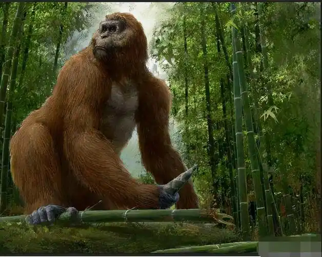 张家界有野人吗(张家界有野人出没吗?) - 风集网