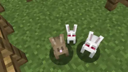 我的世界:看上去人畜无害的杀手兔你见过没有?_兔子_毛色_双方