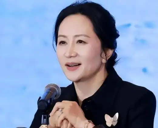 梦晚舟是干什么的,孟晚舟不是什么好人-诺亚号