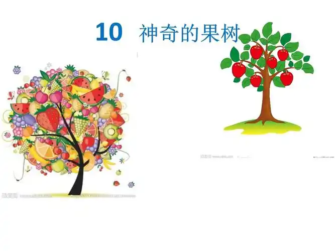 一年级上册美术课件-10神奇的果树 广西版 .ppt
