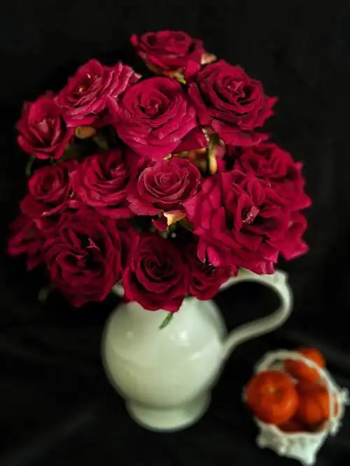 玫瑰紫罗兰泡泡