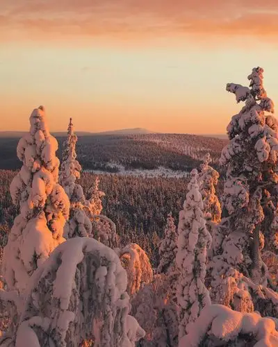 第一波极光照已刷屏猜你迫不及待要来芬兰啦
