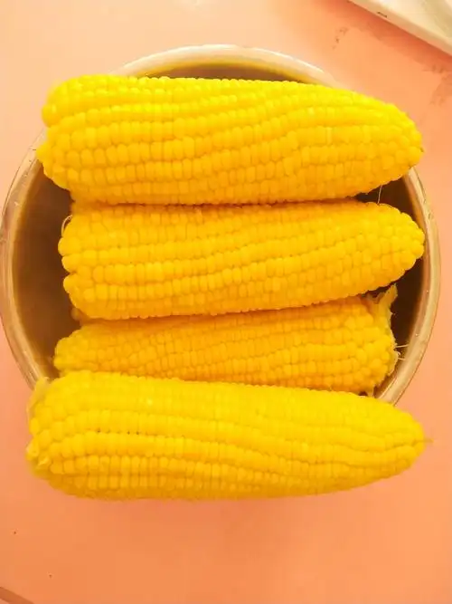 把我们的必不可少玉米准备好,老师我闻到玉米的香味了,dangdang～煮熟