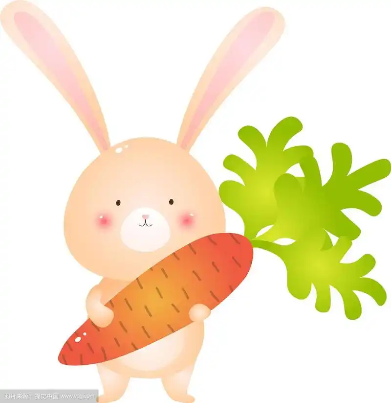 可爱的小兔子抱着大胡萝卜孤立在白色的
