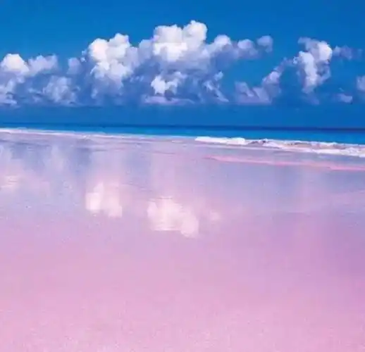 世界上独一无二的粉色沙滩,美呆了!