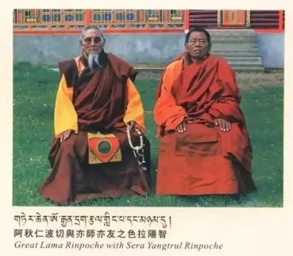 如意宝晋美彭措法王与阿秋法王阿秋喇嘛得到了殊胜的大成就,成为阿瑞