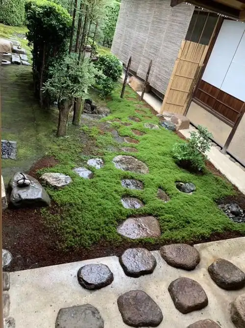 绿地草坪石 园林脚踏石 公园汀步石 草坪置石 园林绿化装饰石材