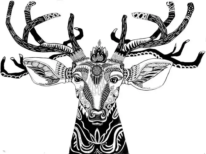 鹿头~|插画|商业插画|少野1029 - 原创作品 - 站酷 (zcool)
