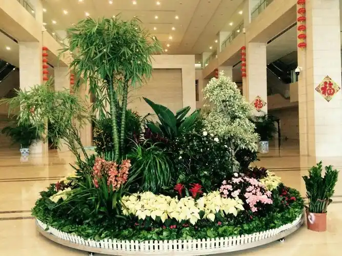 绿植花卉销售,租摆,绿化维护修剪,联系电话:18229289723