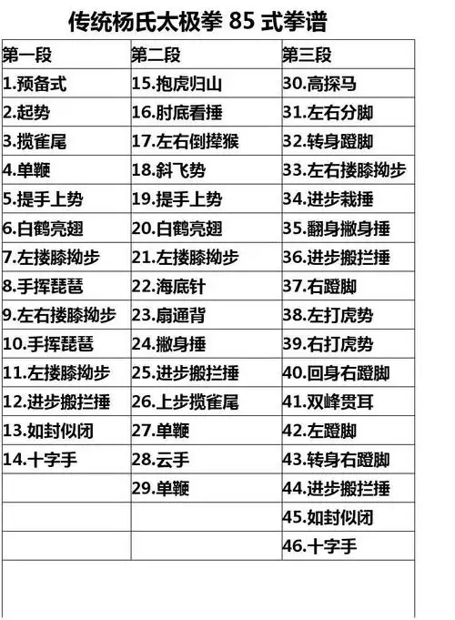 传统杨氏太极拳85式拳谱