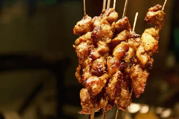 阿勒穆斯 内蒙古草原好味道户外烧烤羊肉串20串 草原羊肉 真空包装