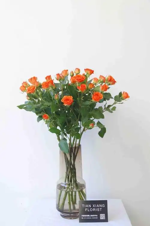 本周花事橙色芭比多头玫瑰橙色5支28元不含花瓶提货时间4月22日4月24