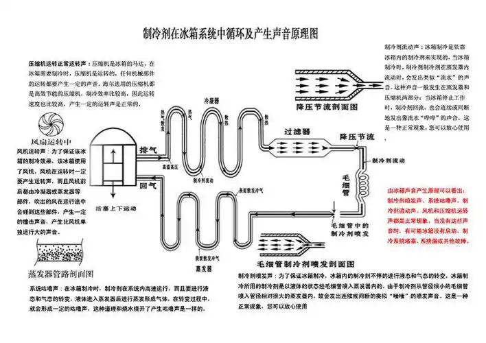 博世冰箱后面右下方一圈圈弯曲的管子有什么作用?