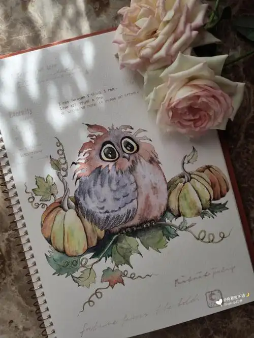 萌萌猫头鹰67100自学水彩