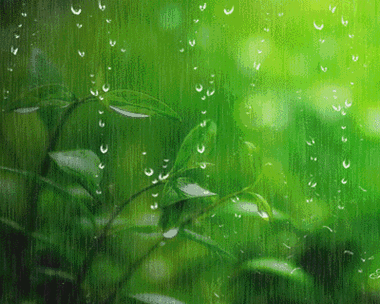 400_320gif 动态图 动图