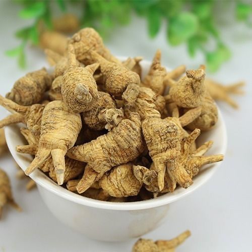 优质【官网正品觅阳参】大颗官方正品吉林长白山野生觅阳叁防伪验