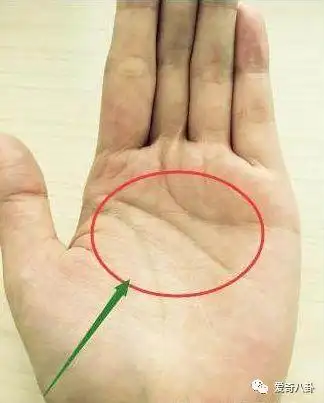 能够嫁入豪门,你的手型很美,手指纤长有力,手背丰