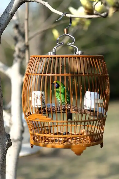 p>鸟笼是观赏鸟进行活动与栖息的主要环境," a target="_blank" href