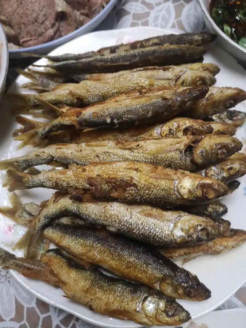 "鱇浪鱼"又名抗浪鱼,是云南高原的璀璨明珠_抚仙湖的独有鱼类.