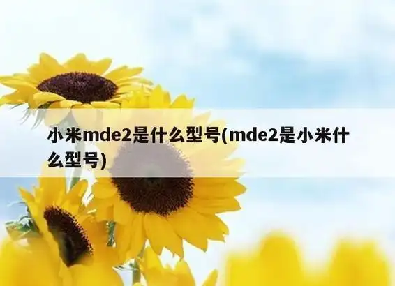 小米mde2是什么型号(mde2是小米什么型号)