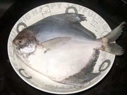 材料:鹰鲳鱼400克,红尖椒一个,生姜,香葱,生抽,花生油适量.