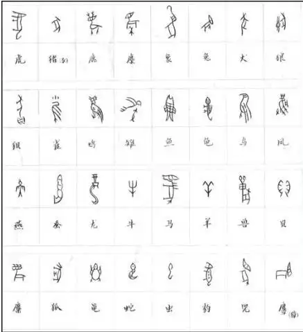 各种动物的甲骨文字怎么写 比如猫.诸位