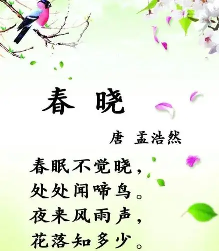 古诗—— 《春晓》