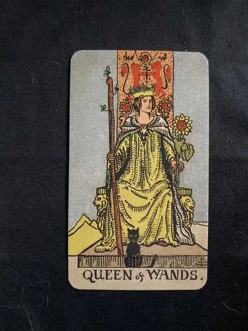 正位的权杖女王是一张非常正面的牌抽到权杖女王的你,将会得到「财运