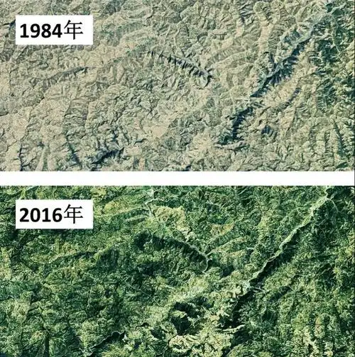 卫星遥感影像告诉你!