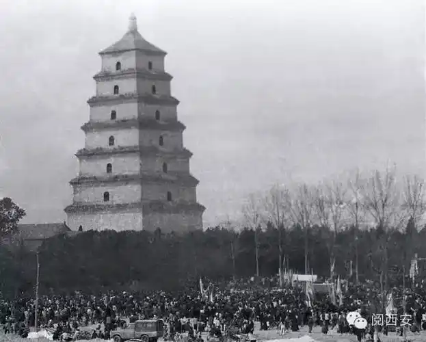 曲江新区在发展过程中,充分依托陕西,西安大文化,大旅游,大文物的资源