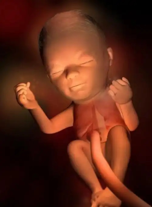 同房之后,要过多久才能怀孕?来感受一下生命的神奇之处