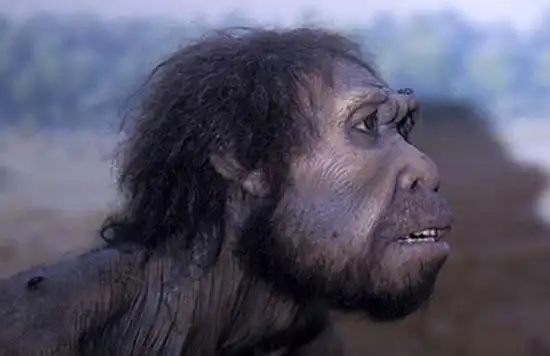 人类并非纯种智人科学家在大部分人体内发现它的基因