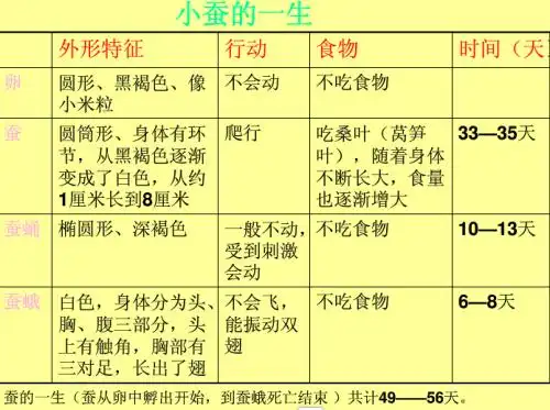 蚕的生命周期大约是多少天