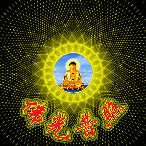 "万佛杯"最齐最权威官方报道!