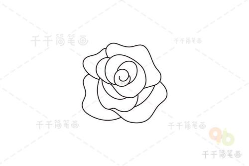 一朵玫瑰花的简笔画