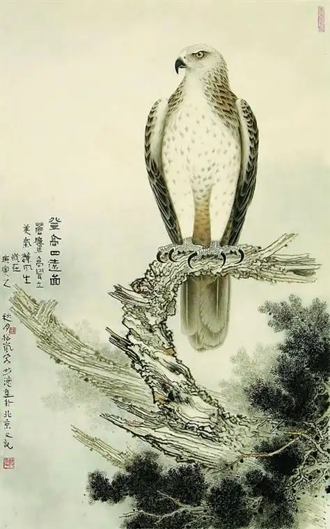 工笔画 - 鹰