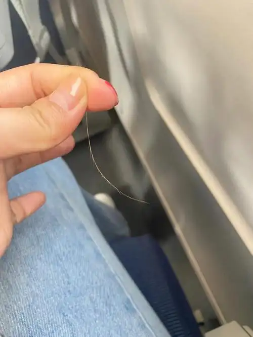 据说这是头发分叉的最高境界