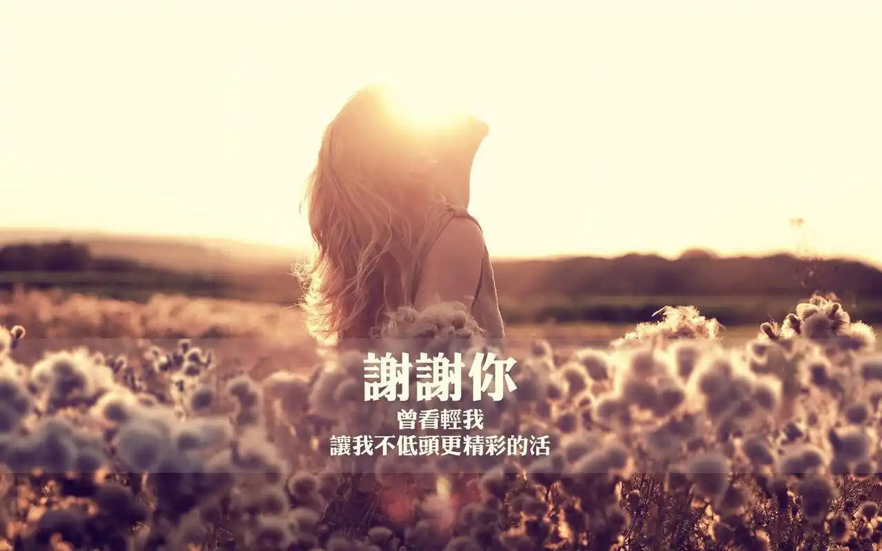 小清新文字桌面高清壁纸第五辑