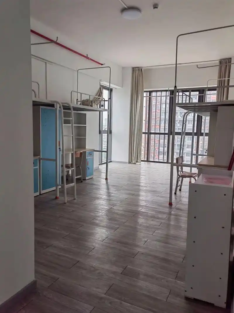 坪山比亚迪的宿舍!爱了!