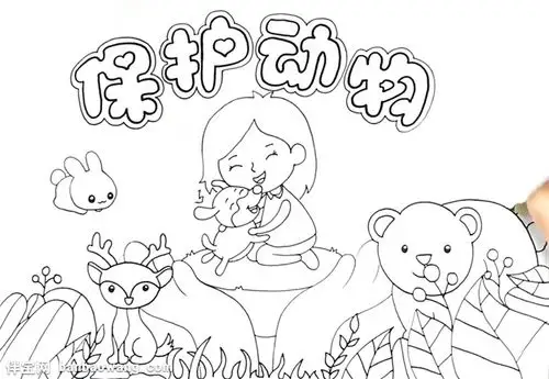 保护动物的海报怎么画