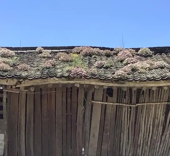 灵空寺,沁河源,花坡游记