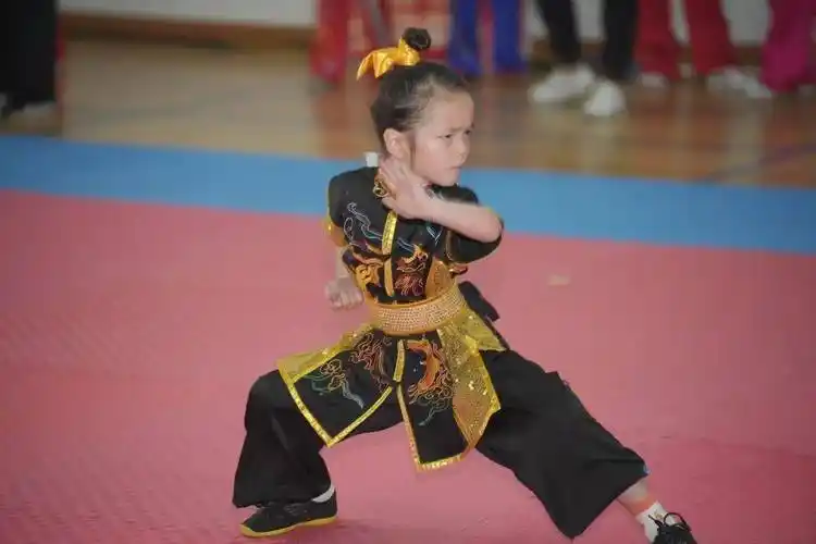 2024年上海市"精武杯"第26届中小幼学生传统武术大赛在虹口圆满举行