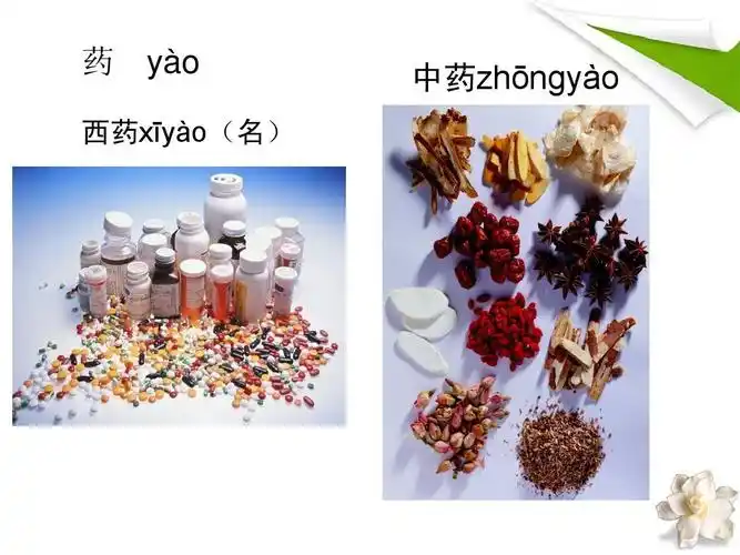 药 yào 西药xīyào(名) 中药zhōngyào