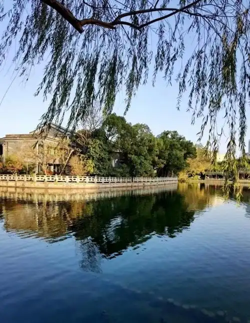 宁波海曙月湖公园丰富多彩