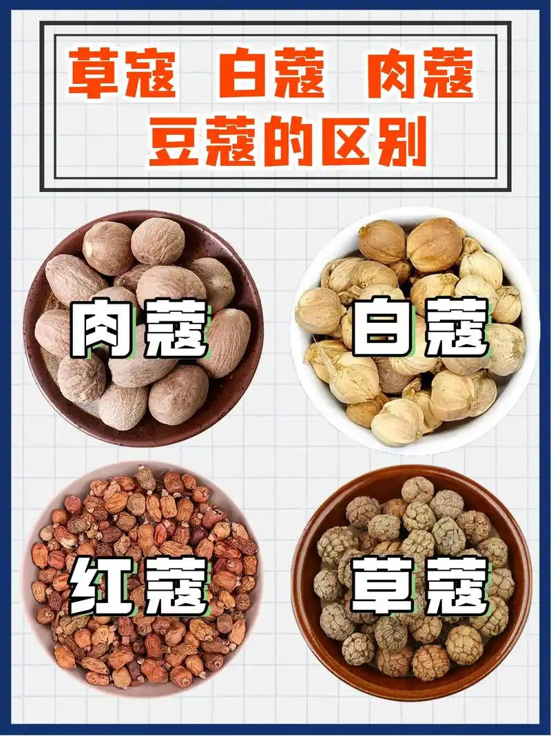 草寇,肉蔻,白蔻,红蔻到底有什么区别.#香辛料 #调味料 # - 抖音