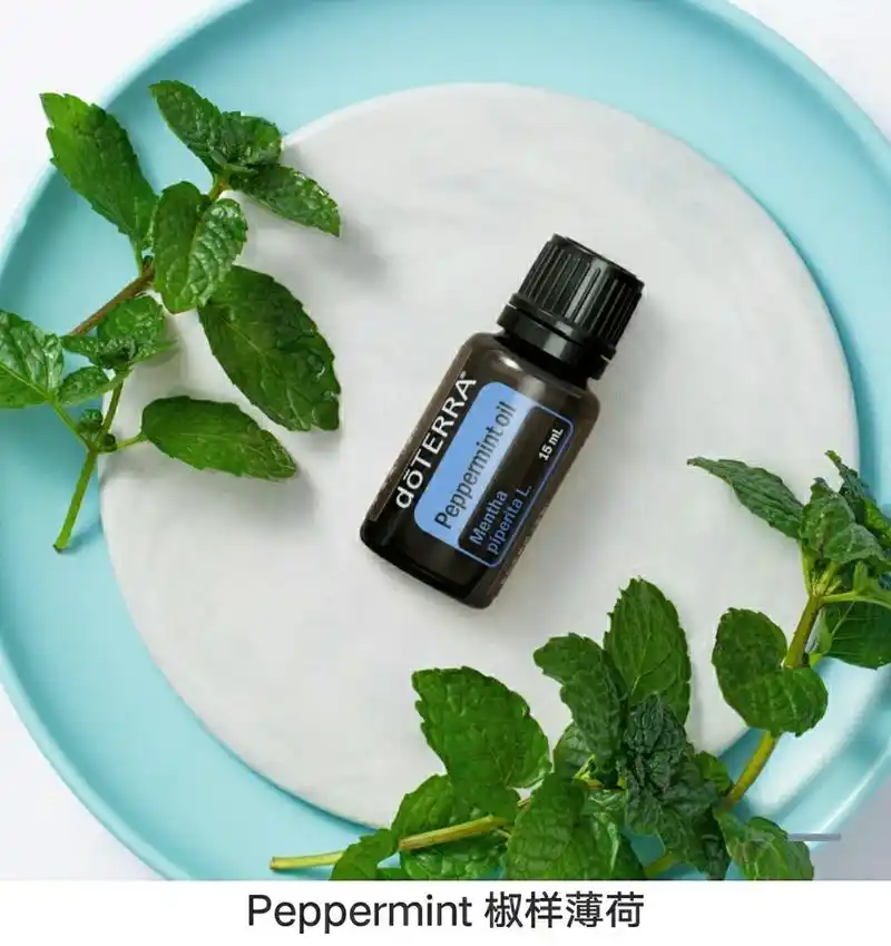多特瑞薄荷精油