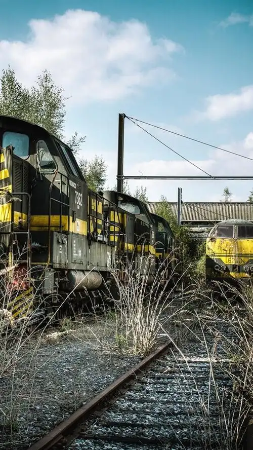 废弃的火车站,杂草丛生 iphone 壁纸