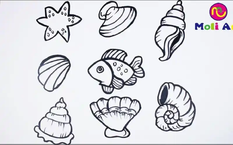 简笔画贝壳简笔画图片大全儿童画幼乐园画画作业简笔画学英语