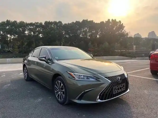 雷克萨斯es200,这个颜色蛮特别的08