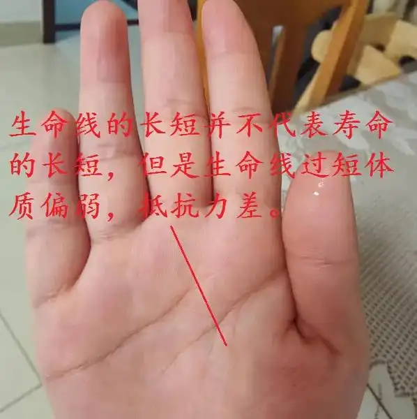女主担心这生命线没了,会不会影响寿数,其实 - 抖音
